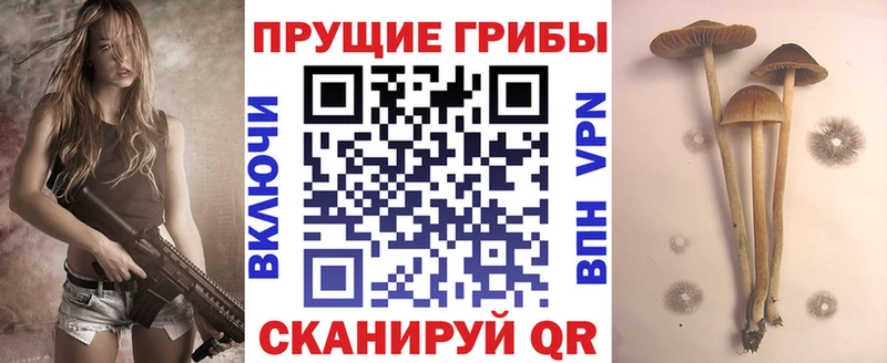 Галлюциногенные грибы Magic Shrooms Шали