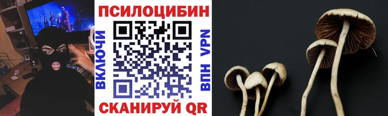 Купить  Шали  Галлюциногенные грибы прущие грибы 