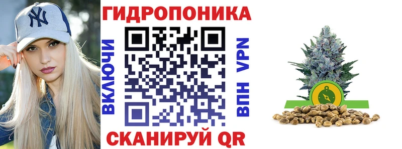 Канабис VHQ  Купить закладки  Шали 